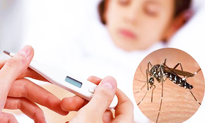 Sở Y tế Lâm Đồng ra văn bản khẩn sau ca tử vong do sốt xuất huyết Dengue