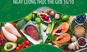 Ngày Lương thực Thế giới 16/10: Chung tay vì thực phẩm tốt hơn và tương lai tốt đẹp hơn