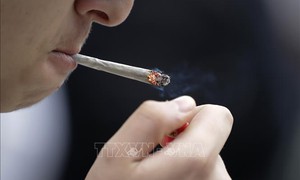 Chuyên gia kêu gọi Anh cấm đầu lọc thuốc lá để bảo vệ sức khỏe và môi trường
