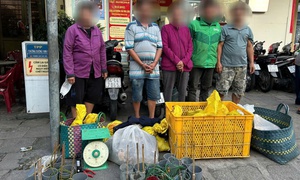 Bắt 15 đối tượng trong đường dây trộm cắp, mua bán chó mèo không rõ nguồn gốc tại TPHCM