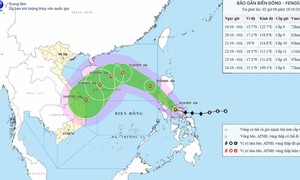 Hôm nay bão Fengshen sẽ vào Biển Đông