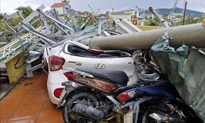 Hơn 357 tỷ đồng bảo hiểm bồi thường thiệt hại do bão số 10