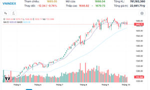 VN-Index rơi 12 điểm, tiếp tục tích lũy