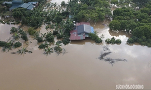 Nhà cửa, hoa màu chìm trong biển nước sau bão số 10
