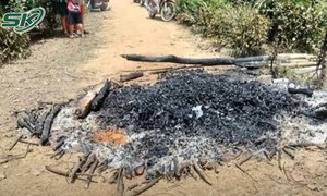Ớn lạnh người đàn ông bốc cháy 'như ngọn đuốc' trong công viên, để lại thư tuyệt mệnh