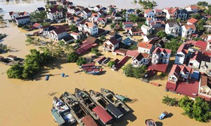 Đảm bảo an toàn hệ thống đê điều ứng phó bão số 12 và mưa lũ