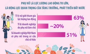 Dấu ấn phụ nữ Việt Nam trong phát triển kinh tế-xã hội
