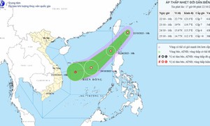 Bão số 12 chưa vào bờ, áp thấp nhiệt đới mới đã chực chờ vào Biển Đông