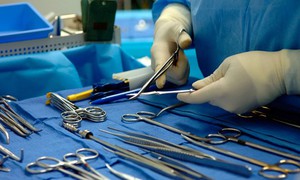 Hướng đi mới cho y học từ ca ghép gan lợn chỉnh sửa gene đầu tiên trên người sống