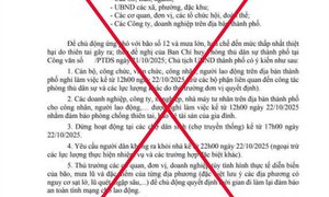 Đà Nẵng bác tin giả cho cán bộ, công chức nghỉ làm, dừng hoạt động chợ vì bão số 12