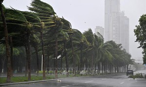 Trung Quốc kích hoạt ứng phó khẩn cấp với bão Matmo - Lào cảnh báo mưa lớn kéo dài