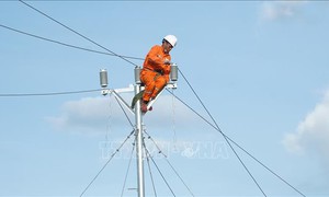 EVN ra công điện khẩn ứng phó bão số 11 và khắc phục hậu quả bão số 10