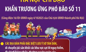 Hà Nội chỉ đạo khẩn trương ứng phó bão số 11