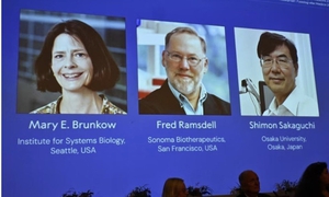 Giải Nobel Y sinh 2025 vinh danh phát minh về khả năng chữa trị ung thư