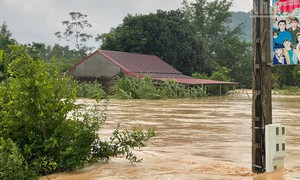 Lại thêm một con sông có mực nước cao vượt mức lịch sử