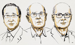 Nobel Hóa học 2025 vinh danh ba nhà khoa học nghiên cứu về vật liệu xốp