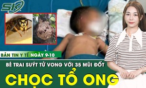 Bản Tin Y Tế 9/10: Bé trai suýt tử vong do chọc tổ ong vò vẽ