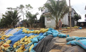 Sạt lở đe dọa ‘nuốt’ nhà dân, hàng trăm hộ ven sông thấp thỏm lo sợ