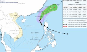 Vì sao bão số 14 có đường đi bất thường?