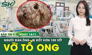 Bản Tin Y Tế 14/11: Người đ&#224;n &#244;ng bị ong đốt hơn 100 vết, suy đa tạng nguy kịch
