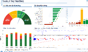 Xu hướng chứng kho&#225;n 18/11, c&#243; thể mua mới với tỷ trọng thấp