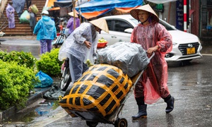 Bộ Nông nghiệp và Môi trường yêu cầu ứng phó khẩn với đợt rét hại