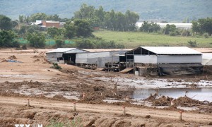 Lâm Đồng: Kịp thời giải cứu bé gái khỏi sạt lở