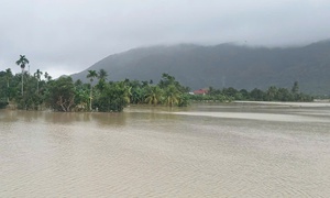 Mưa lũ, sạt lở ở Khánh Hòa đã làm hơn 30 người thương vong