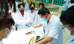 Giáo viên sắp có phụ cấp độc hại lên tới 0,4 lần lương cơ sở