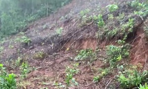 Đỉnh đồi ở Huế xuất hiện vết nứt hở hơn 1m