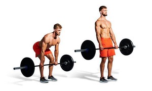 5 b&#224;i tập h&#224;ng ng&#224;y ngăn ngừa l&#227;o h&#243;a sau tuổi 50