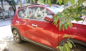 Ô tô đậu trong ngõ ở Nghệ An bị xịt sơn trắng, công an vào cuộc