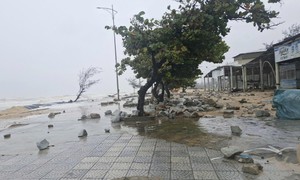 Hoàn lưu nhiễu động gió Đông Bắc khiến mưa lũ diện rộng ở miền Trung kéo dài