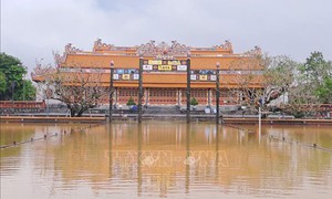 Xử lý khẩn cấp, gia cố đoạn tường thành phía Bắc Hoàng thành Huế