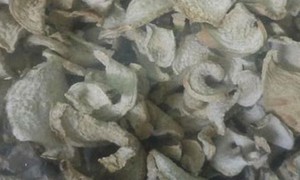 C&#225;ch d&#249;ng củ r&#225;y hỗ trợ hạ axit uric