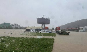 Thông tin mới nhất về thiệt hại do mưa lũ ở miền Trung
