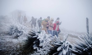 Miền Bắc đối mặt rét khô, sương muối dày trong thời gian tới