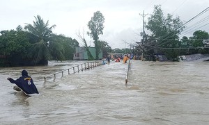 Nghiên cứu xây dựng mô hình dự báo ngập lụt ven biển do nước dâng và sóng trong bão