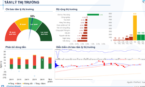 Xu hướng chứng kho&#225;n 27/11 ưu ti&#234;n mua cổ phiếu vốn h&#243;a lớn