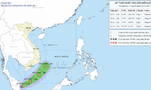 Bão số 15 chưa tan, áp thấp nhiệt đới có hướng đi lạ kỳ lại sắp tiến vào Biển Đông
