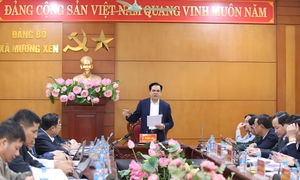 Chủ tịch UBND tỉnh Nghệ An yêu cầu xóa "trắng điện, trắng sóng", đưa cán bộ về cơ sở rèn luyện
