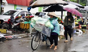 Giữa mưa phùn gió lạnh, người Hà Nội vẫn tất bật mưu sinh