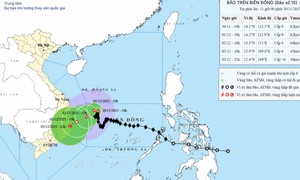 Vì sao bão số 15 gần như đứng im trên Biển Đông