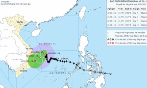 Bão số 15 sẽ đi vào vùng biển từ Gia Lai đến Khánh Hòa