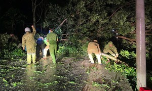 Gia Lai và Đắk Lắk khẩn trương khắc phục hậu quả bão số 13