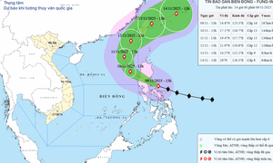 Khi vào Biển Đông, bão Fung Wong sẽ duy trì gió giật cấp 16