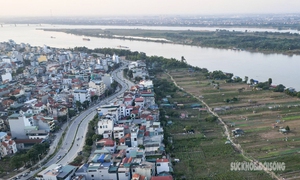 Bãi bồi sông Hồng trước ngày hình thành đại lộ 338.000 tỷ đồng