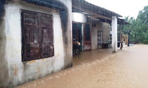 Bão số 15 sẽ suy yếu thành áp thấp nhiệt đới ngay trên biển nhưng gây mưa từ Bình Định (cũ) đến Khánh Hòa