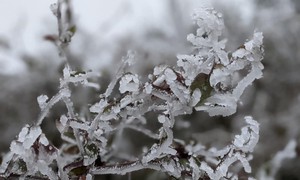 Đợt rét ở miền Bắc kéo dài đến khi nào? 