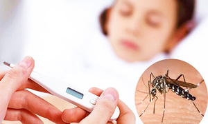 Các vitamin cần bổ sung sau sốt xuất huyết giúp cơ thể mau hồi phục